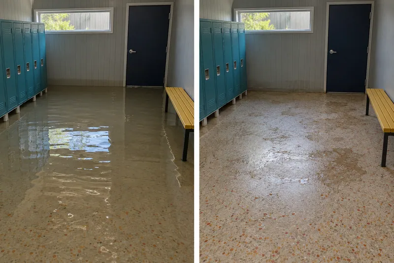 Water Extraction Near Pawsome Playground Dog Park — before water pickup and damp floor afterwards